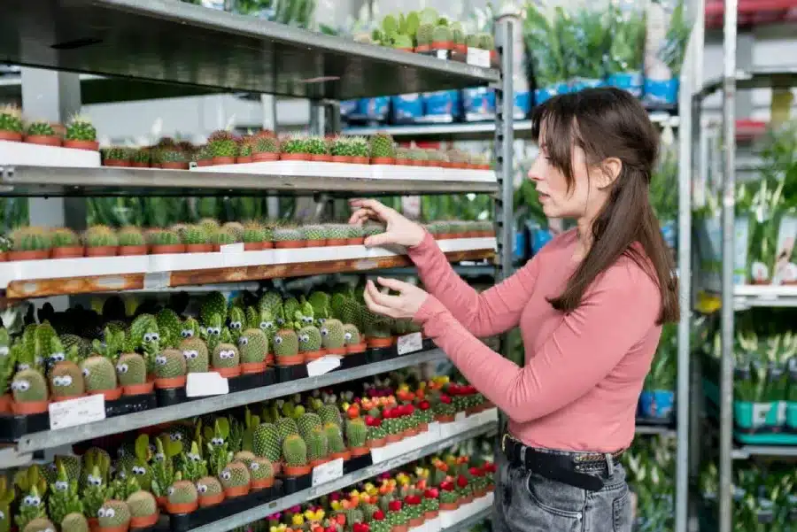 Young woman selecting small cacti and succulents at indoor plant nursery