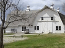 farm management showing white barn with grassy grounds and a tree on property