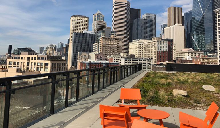 rooftop green space