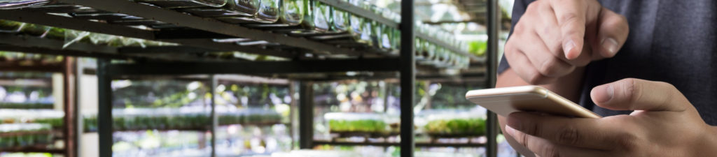 nursery greenhouse grower checks production on a mobile app