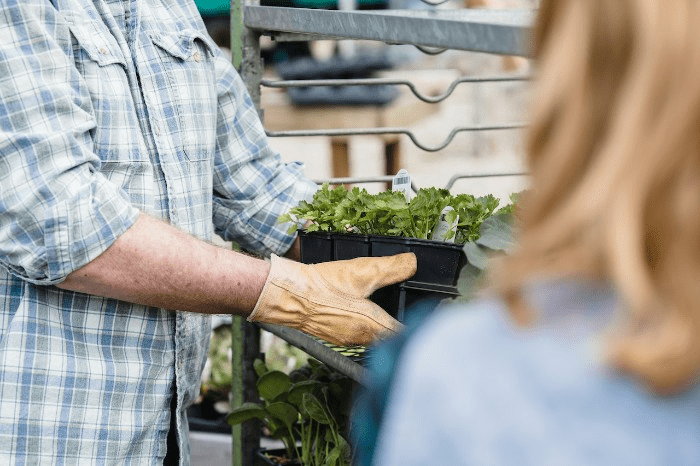 picking plants for customer