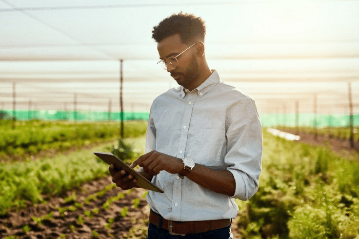 person looking at a tablet outdoors with growing plants in the background