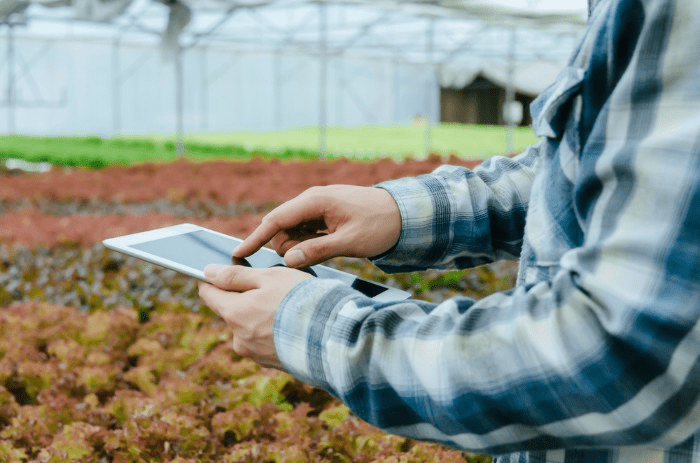 image Managing Orders and Fulfillment with Wholesale Nursery Software: Best Practices