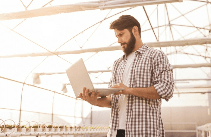 man looking at a laptop screen in a greenhouse