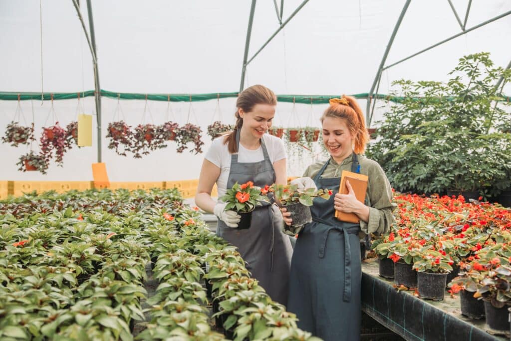 plant-nursery-workers-checking-plants-in-greenhouse plant nursery workers holding flowers in pots