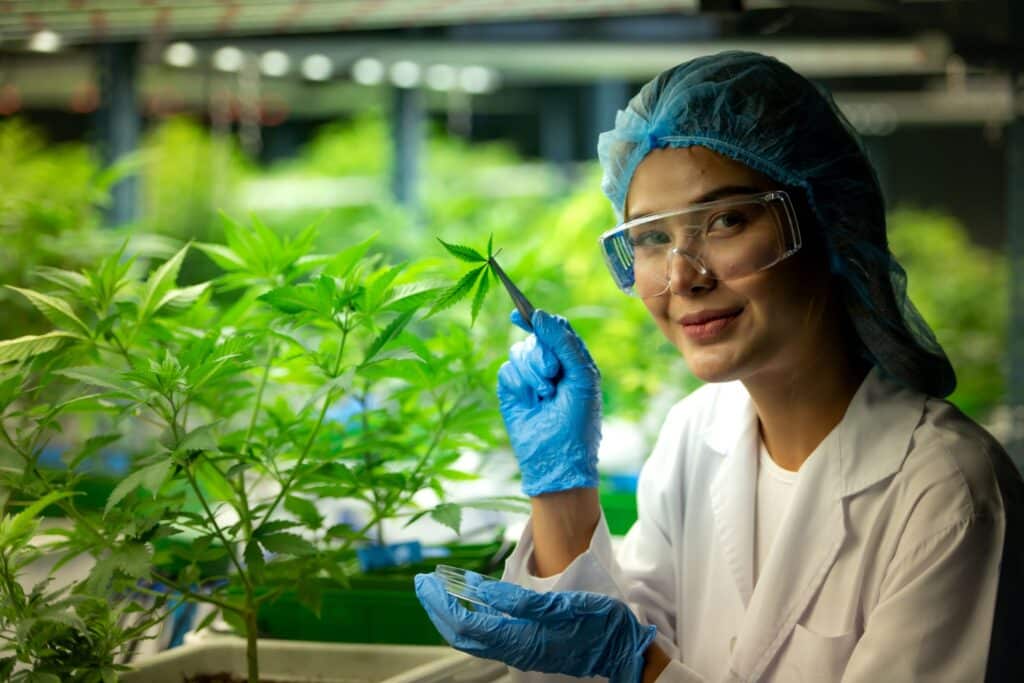 woman-scientist-at-cannabis-farm-with-a-cannabis-plant woman-scientist-at-cannabis-farm-with-a-cannabis-plant