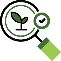 magnifying glass over a plant