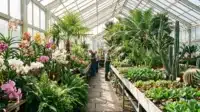 A vibrant greenhouse filled with a variety of thriving plants