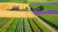 A vibrant farm landscape featuring fields of various crops