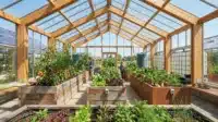 Modern greenhouse interior with raised garden beds growing sustainable vegetables and plants