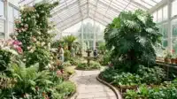 A vibrant greenhouse filled with a variety of flourishing plants