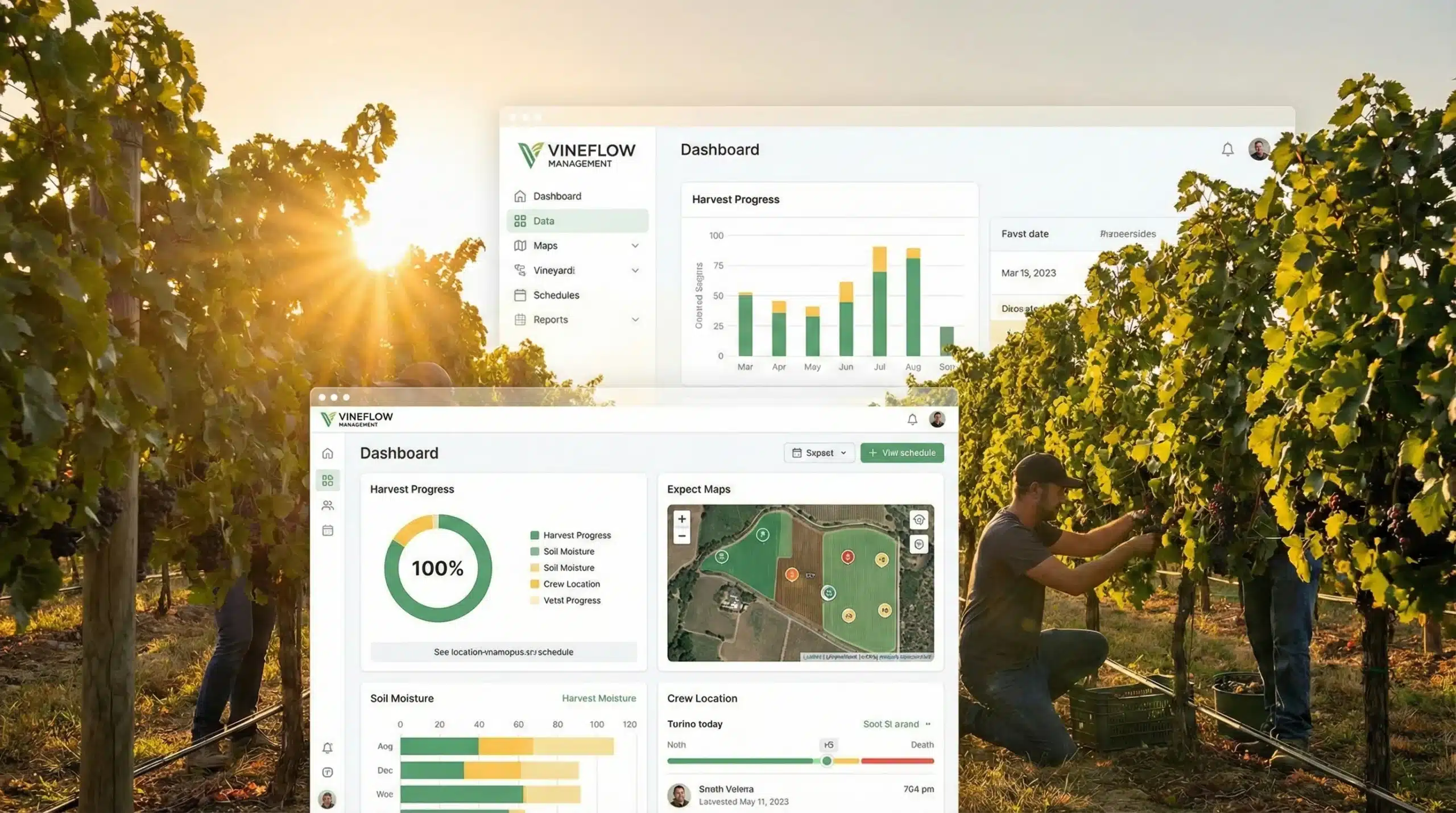 Vineyard management software interface overlaid on golden sunset vineyard landscape with workers