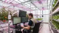 Technician using greenhouse growers software to monitor crops with automated systems and LED lighting.